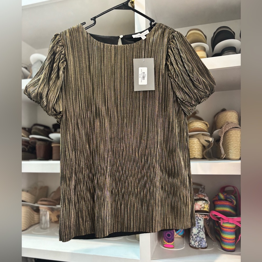 Elegant Metallic Women's Blouse